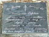 image of grave number 399890